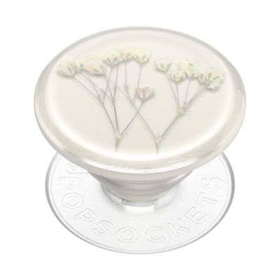Secondary image for hover Pressed Flower Baby's Breath